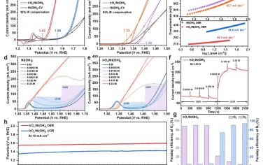 EES：IrOx/Ni（OH）2催化剂上的试剂自适应活性位点切换