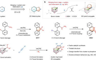 Nature Communications：非经典硼簇-膦盐偶联物的紧密偶合构建