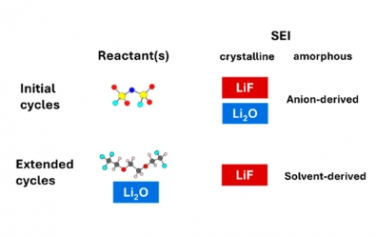 JACS: 实验和理论研究揭示的锂金属界面成分的演化和相互作用