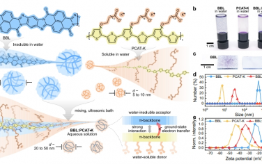 Nat Commun：全聚合物供体：受体混合物中的基态电子转移使得水不溶性共轭聚合物能够进行水处理
