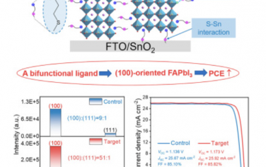 Joule：双功能配体诱导的优选晶体取向能够实现高效的钙钛矿太阳能电池
