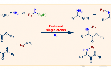 Angew：单原子Fe催化制备有机胺