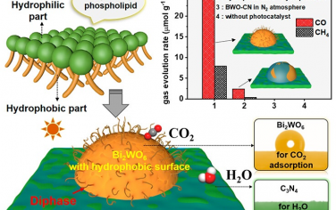 ACS Catal：Bi2WO6-C3N4异质结光催化CO2还原