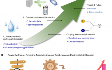 王双印Chem综述：溶液相电催化小分子转化