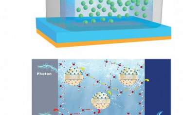 AFM：用于自驱动光电探测器的液态水分子连接量子点