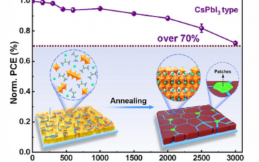AEM：中间相改性使高性能富碘无机钙钛矿太阳能电池具有3000小时的稳定性