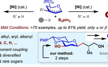 云南大学JACS：Ni催化立体选择性硼化/糖苷化串联