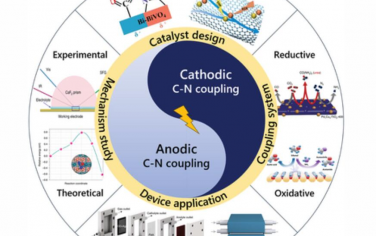 AEM：阴极和阳极的电催化碳氮偶联