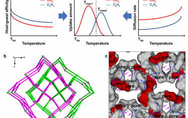 Nat. Commun.：在扩散调节多孔材料中通过温度切换分子识别选择性