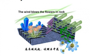 Angew：通过气固反应直接从 MAX 相原位构建功能性多维 MXene 基复合材料