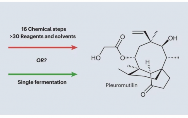 Nature Reviews Chemistry：真菌代谢产物的工程化和全生物合成