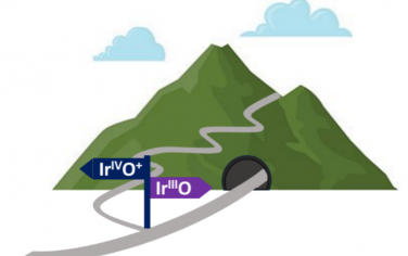 Angew：Ir(III)-oxo和Ir(IV)-oxo活化C-H化学键