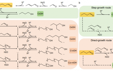 Nat Commun：实现在水相中高效乙醇升级为长链醇的直接生长途径