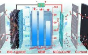 Angew：BiS实现全pH电催化还原CO2制备甲酸/甲酸盐