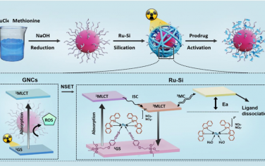 Angew：通过纳米表面能量转移实现辐射触发的金属前药激活以用于放射-化学-免疫治疗