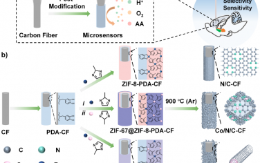 Angew：对碳纤维碳基材料进行通用的原位工程化以实现体内神经化学传感