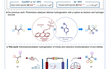 Nat Commun：亚胺的电光催化氢化和芳基卤化物的还原官能化