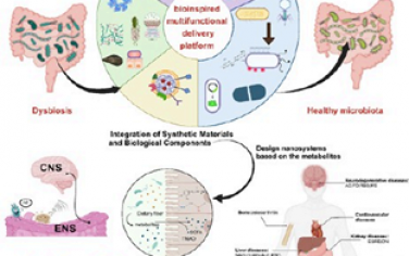 ACS Nano综述：用于调节肠道微生物群的先进仿生多功能平台