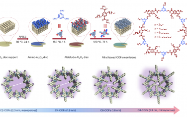 Nature Water：COF修饰烷基链构筑小尺寸孔道用于膜处理废水