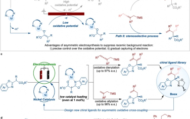 中科大Nature Commun：Ni电催化联烯不对称转化