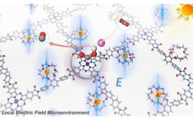 中科大JACS：在酞菁钴COF中调节活性位点附近电场增强光催化CO2还原