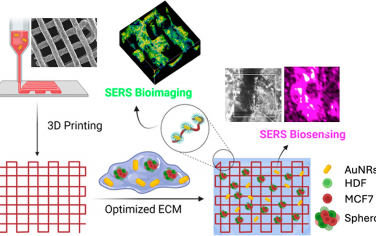 ACS Nano：用于表面增强拉曼散射的支架辅助三维癌症细胞模型——基于实时传感和成像