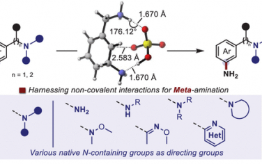 JACS：非共价键导向C-H键间位氨基化