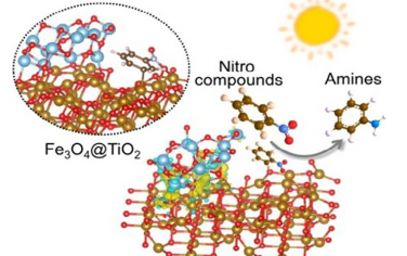 熊宇杰等JACS：Fe3O4@TiO2光催化硝基芳烃选择性还原
