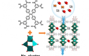 JACS：具有高孔隙率的八羧酸盐连接的钠金属有机骨架