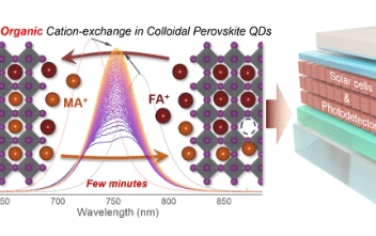 JACS：胶体钙钛矿量子点中的快速有机阳离子交换用于功能光电应用