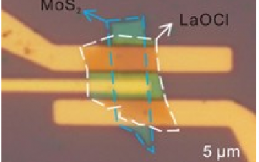 Adv Mater：二维LaOCl介电保护构筑二维FET器件