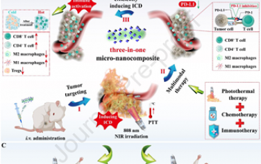 Biomaterials：负载日蟾蜍他灵的微纳米复合材料可通过有效诱导ICD实现对转移性TNBC的多模态治疗