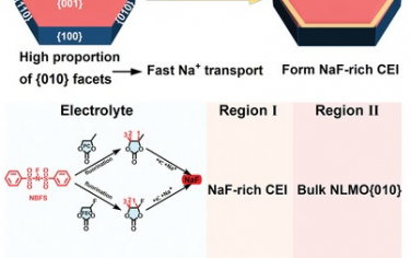Adv Mater：晶面调控和含氟界面设计增强层状氧化物钠离子电池性能
