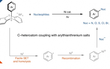 Nature Catalysis：Ni光催化实现芳基噻蒽鎓合成芳基化合物