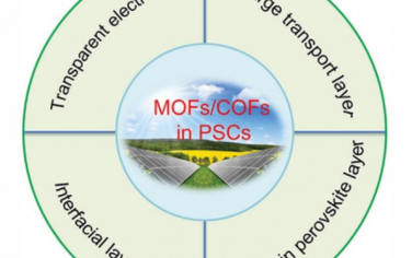 AEM：新兴金属和共价有机框架在钙钛矿光伏中的应用