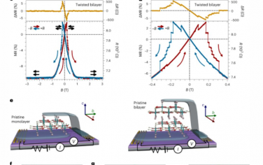 Nature Materials：正交扭曲铁磁单层中的多步磁化开关