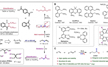 Science Advances：用于工业加氢甲酰化和异构化-加氢甲酰化的稳健、可扩展和高选择性的螺旋环催化剂