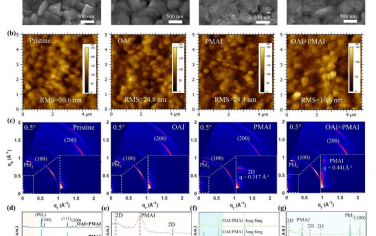 EES：高性能钙钛矿太阳能电池表面钝化的双分子动力学竞争