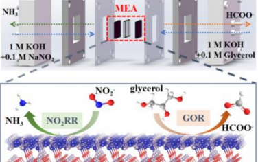 浙江理工大学&中科大&河南科技学院Angew：Co2P@MoOx异质结实现工业级成对电催化合成甲酸盐和氨