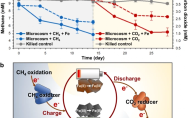 Nature Commun：微生物处理结合电化学处理CH4和CO2