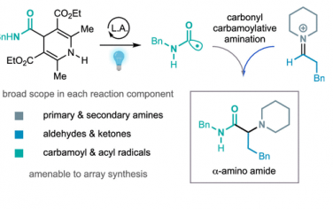 JACS：模块化光催化合成α-氨基酰胺化合物