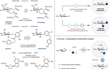 武汉大学Nature Commun：糖苷C2位点立体选择性硼化