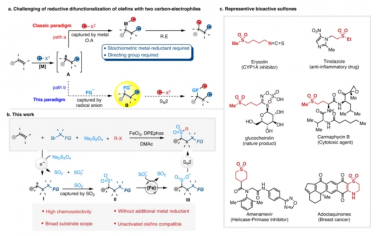 Nat. Commun.：铁催化的烯烃氟烷基烷基磺酰化反应