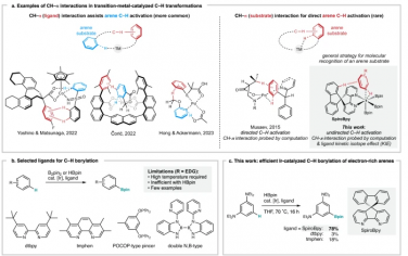 Nature Commun：非共价相互作用Ir催化C-H键活化