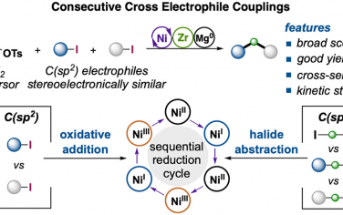 上海科技大学JACS：通过开壳层Ni(I)/Ni(III)实现连续构筑两个C(sp3)-C(sp2)化学键