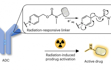 北大Nature Chem：放射诊疗激活药物前体用于肿瘤治疗
