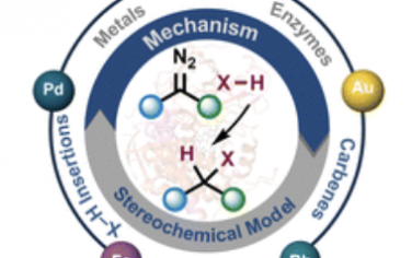 Chem. Soc. Rev.：金属和酶催化卡宾插入X-H和C（sp2）-H键的机理和立体选择性
