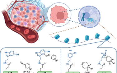 JACS：生物正交标记和富集组蛋白单胺化以揭示其在癌细胞染色质中的积累和调节功能