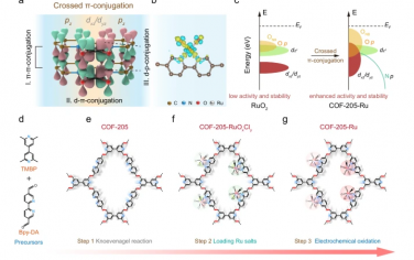 武汉大学Nature Commun：COF稳定单原子Ru酸性OER