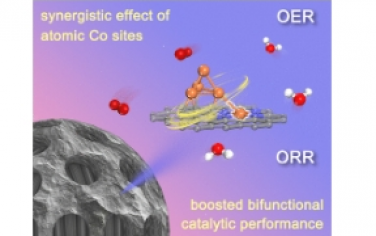 ACS Nano：钴低核团簇与单核位点协同调控电子结构实现高效氧电催化